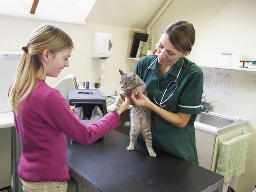 Giving pet medications at our vet clinic in Amelia, OH