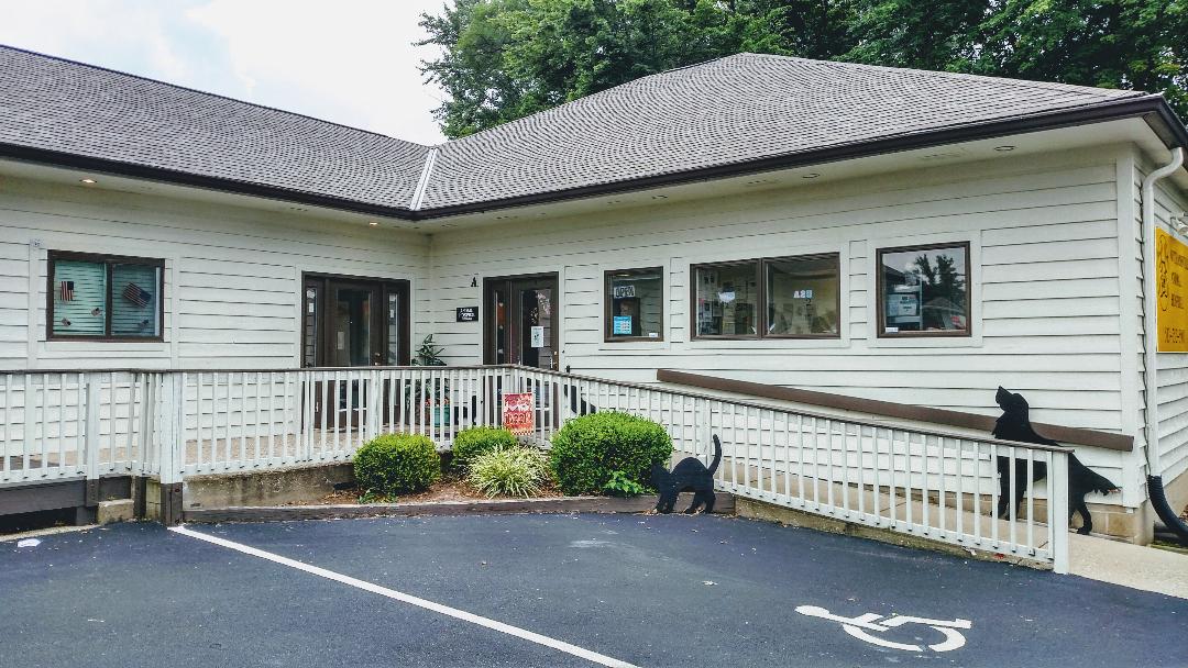 A dog getting a checkup from a vet at an animal hospital in Amelia, OH