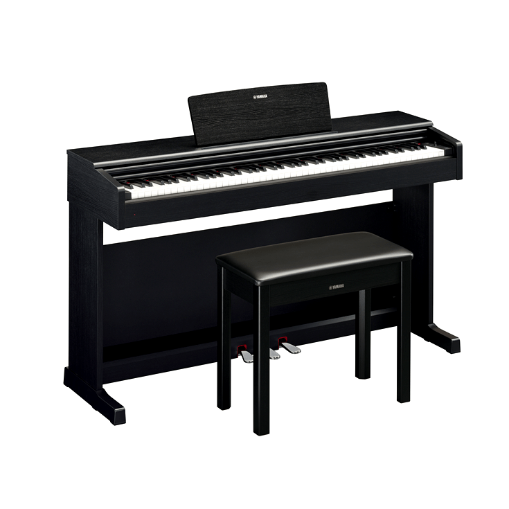 Artesia A20 Deluxe Package — Omaha, NE — Keyboard Kastle