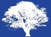 Top Seed Landscape Design Inc Top Seed Landscape Design Inc