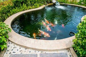 New Pond — Hardscapes in Windsor Mill, MD