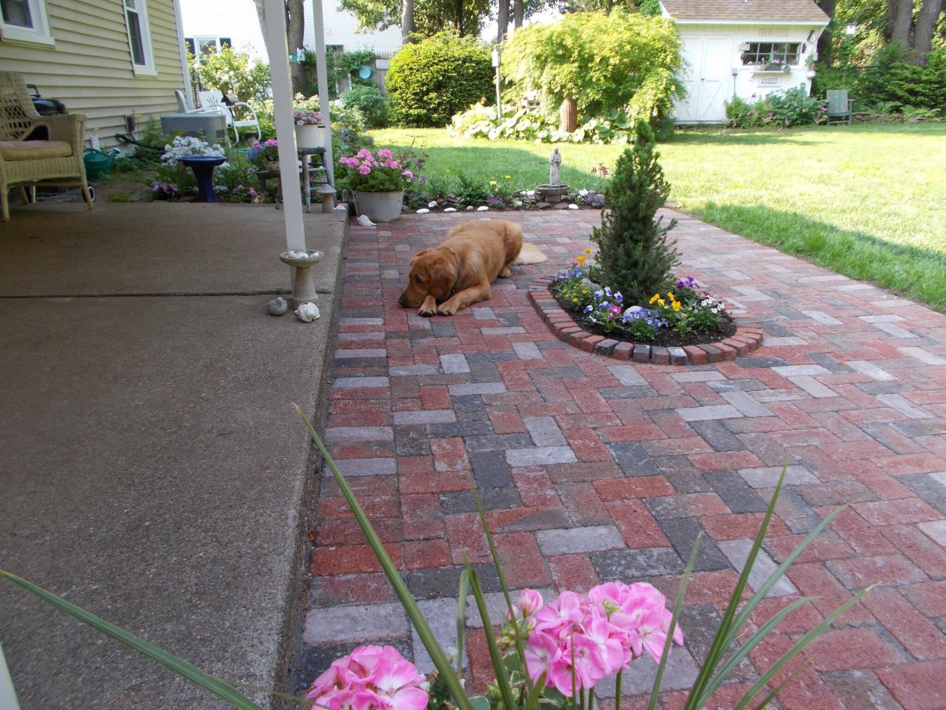 Dog at the Backyard – West Springfield, MA – Rolandini Brothers Masonry