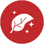 image-1565572-icon-1.png