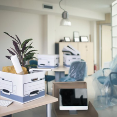 Office Cleanouts