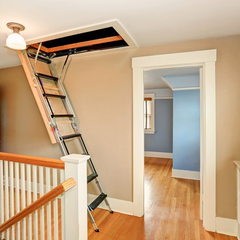 Attic Cleanouts