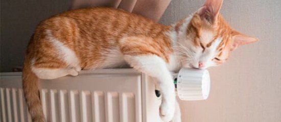 Warm Radiator - New Comfort Heating & Cooling in Brookville, OH Warm Radiator - New Comfort Heating & Cooling in Brookville, OH