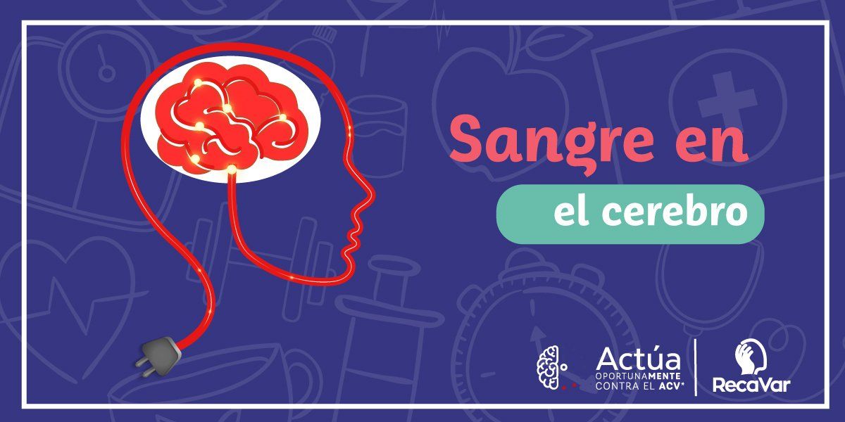 Sangre en el cerebro