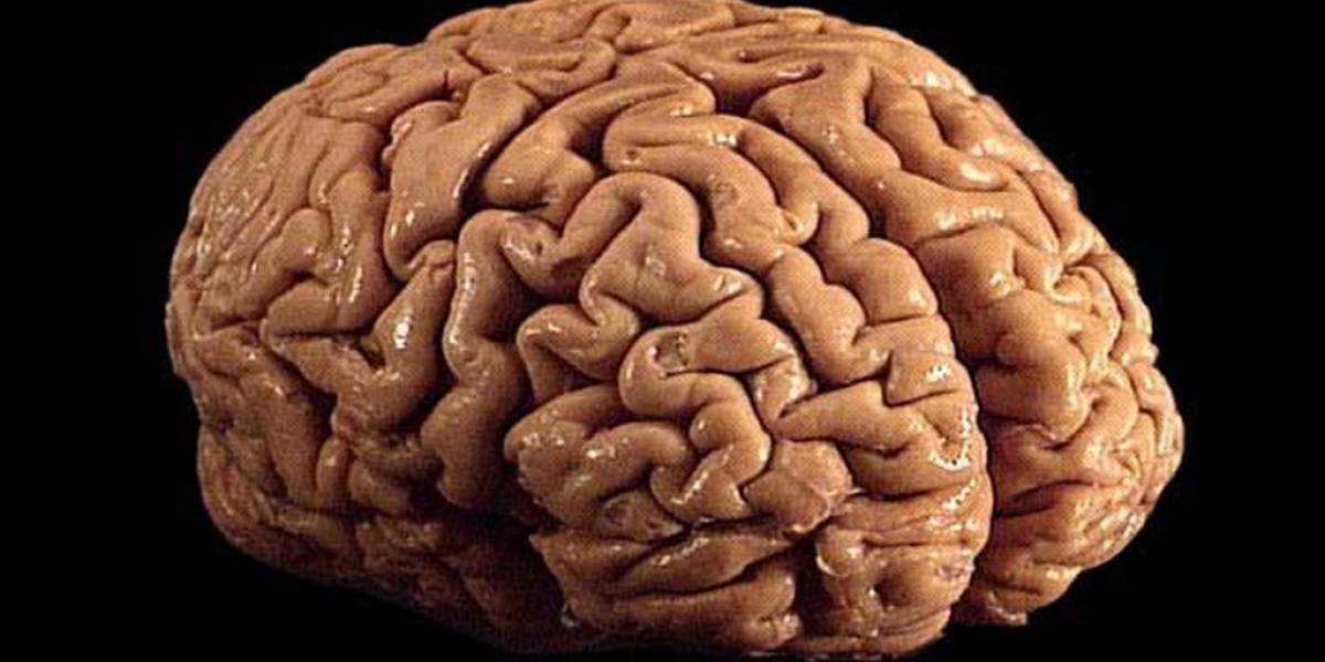 accidente cerebrovascular tratamiento
