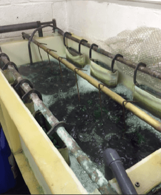 Anodising - Huntingdon, Cambridgeshire - M.F.S Electroplating Co - anodising