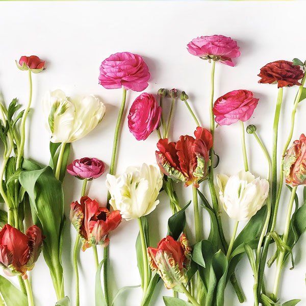 Garden Center Website