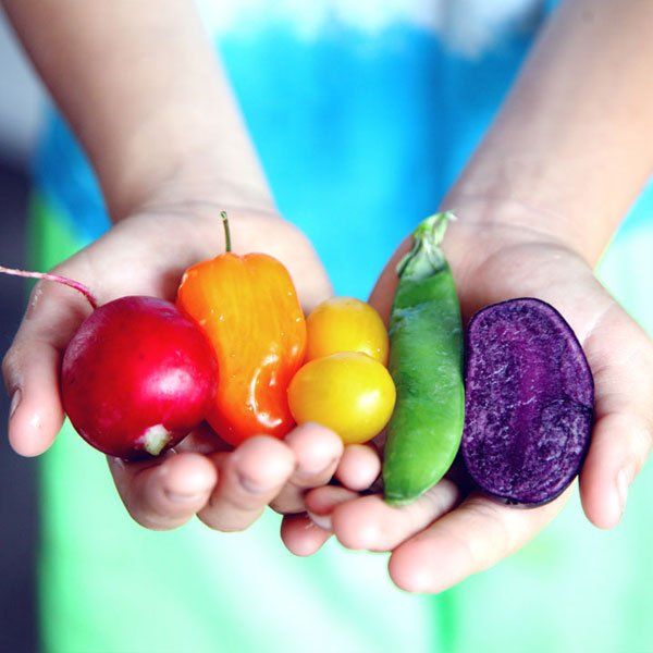 Health Coach Website