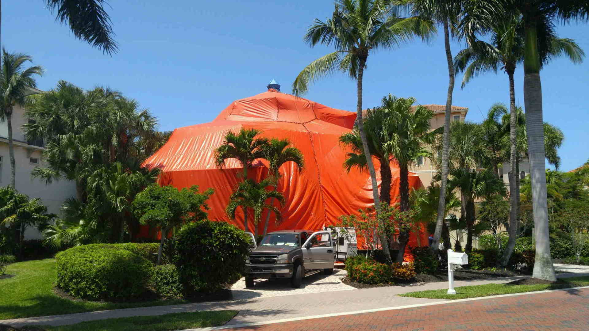 fume - pest control in Cape Coral, FL