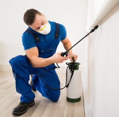 Spraying Pesticide On Window Corner - Pest Control in Cape Coral, FL Spraying Pesticide On Window Corner - Pest Control in Cape Coral, FL