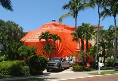 fume - pest control in Cape Coral, FL