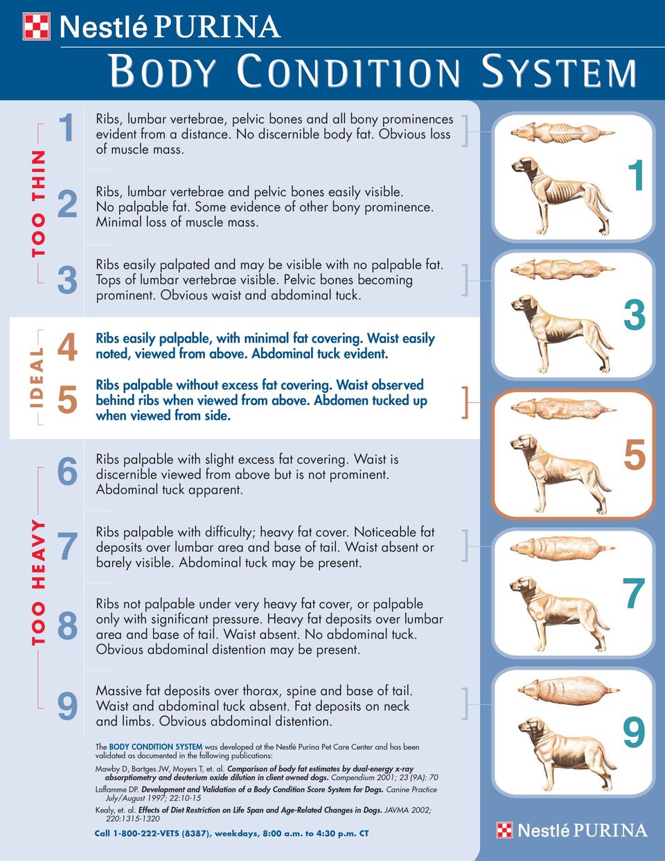 The Purina Body Condition Score