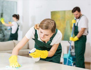 cleaners at work