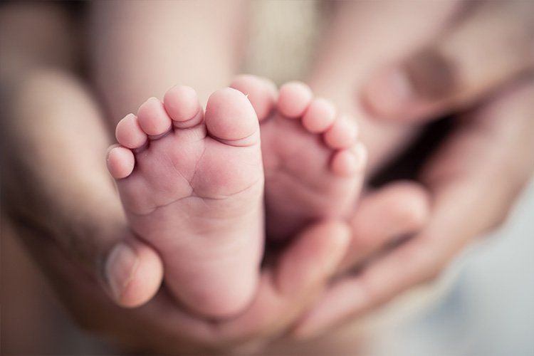 Picture of baby's feet being held in hands - Dental Studio 4 Kids Lutz Florida