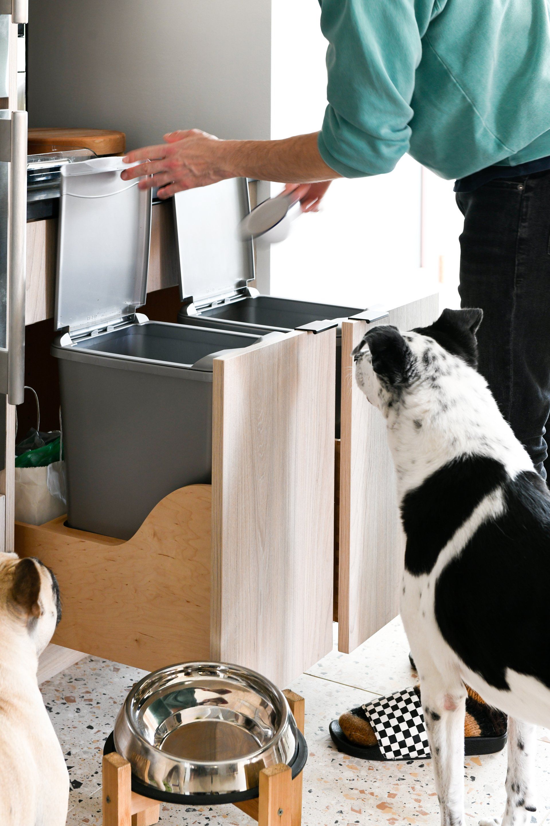 Person refilling a stainless steel pet water station beside black-and-white dogs in a kitchen