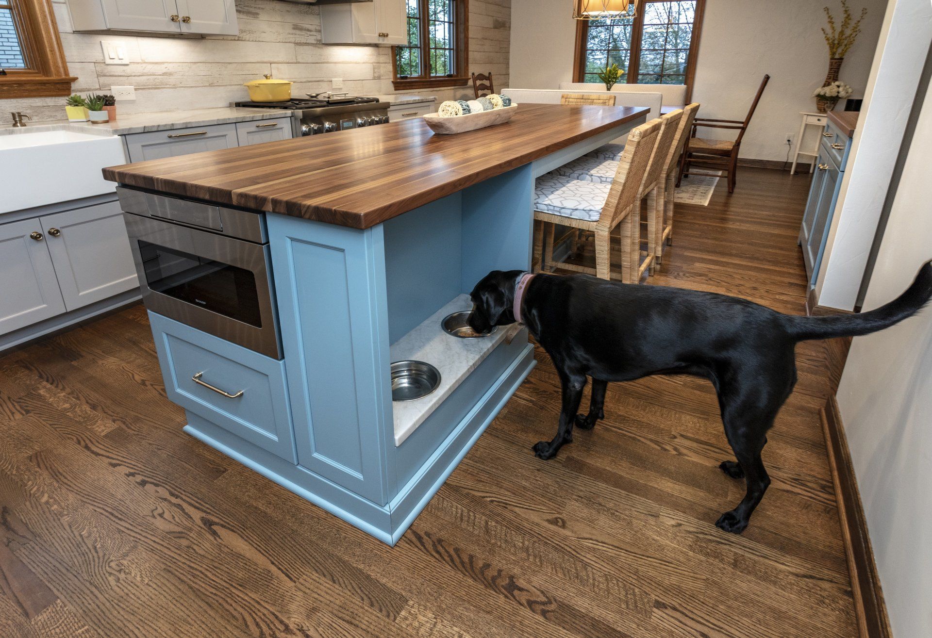 Black dog beside a blue kitchen island with butcher-block top and open shelf in a bright kitchen
