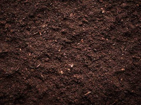 Soil — Landscaping Supplies in Gladstone, QLD Soil — Landscaping Supplies in Gladstone, QLD
