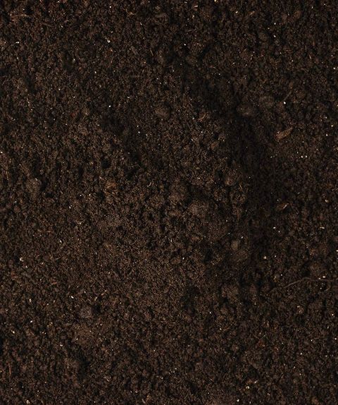 Loam — Landscaping Supplies in Gladstone, QLD Loam — Landscaping Supplies in Gladstone, QLD
