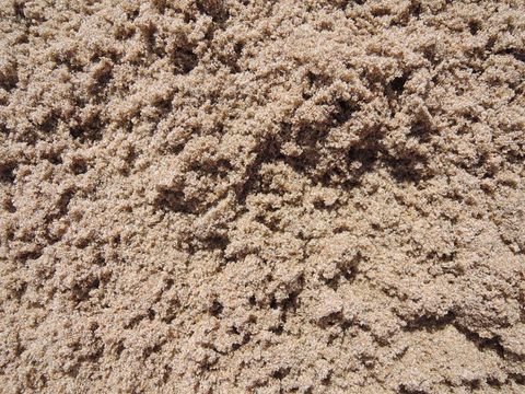 Sands — Landscaping Supplies in Gladstone, QLD Sands — Landscaping Supplies in Gladstone, QLD