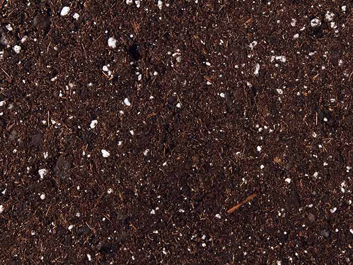 Soil Mix — Landscaping Supplies in Gladstone, QLD Soil Mix — Landscaping Supplies in Gladstone, QLD
