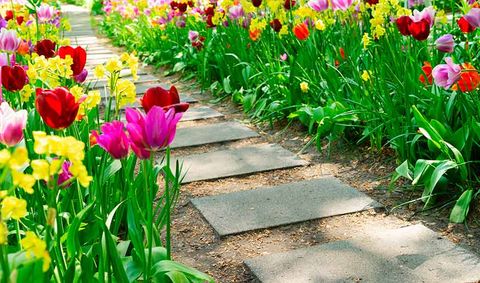 Soil Mix — Landscaping Supplies in Gladstone, QLD Soil Mix — Landscaping Supplies in Gladstone, QLD