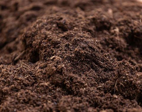 Seed On Pot — Landscaping Supplies in Gladstone, QLD Seed On Pot — Landscaping Supplies in Gladstone, QLD