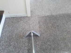 Carpet steam cleaning — Carpet Cleaning in Pottsville, PA