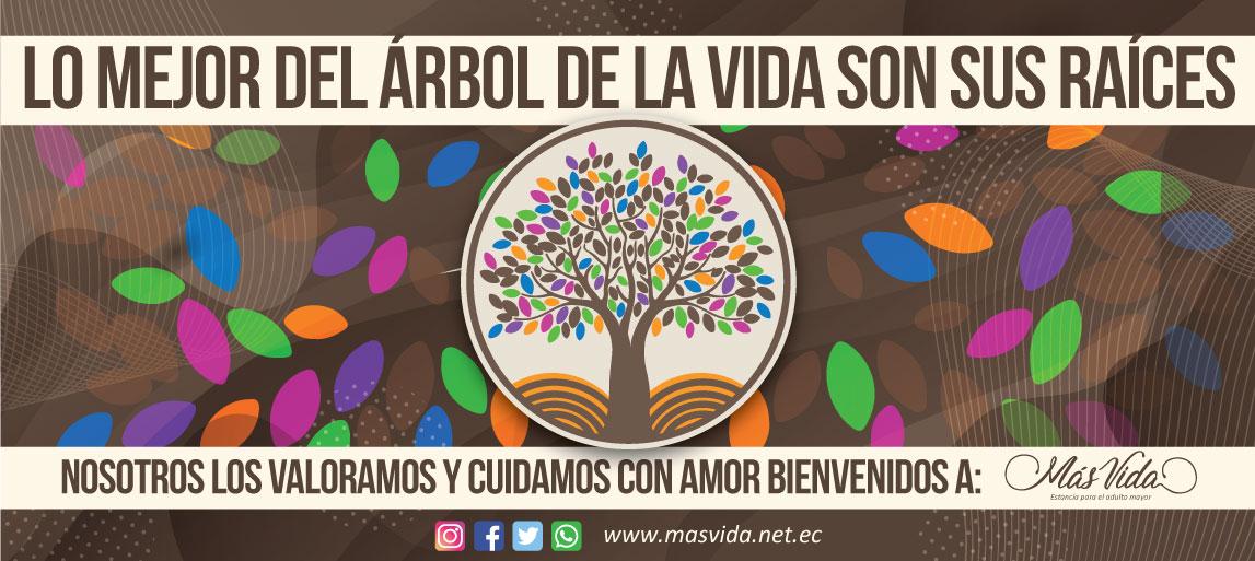 Más Vida logo