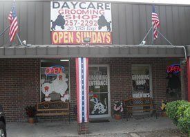 day care for dogs