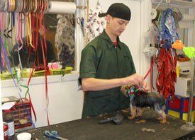 dog grooming