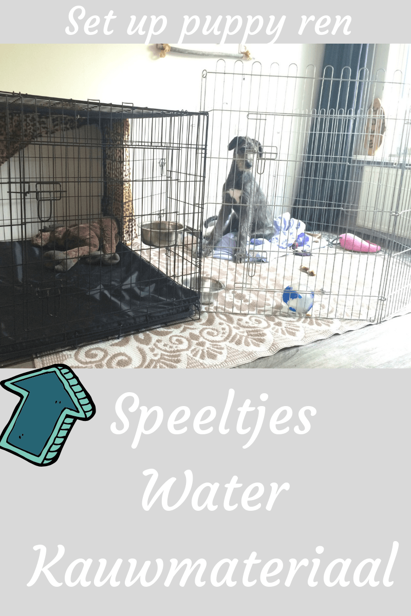 voorbeeld van een set up puppy ren