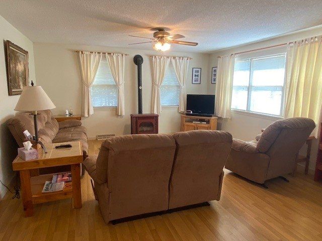 A living room with two couches and a television