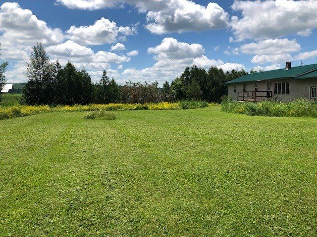 Grassy yard with a house on the right, trees in the background, and a bright blue sky with clouds.