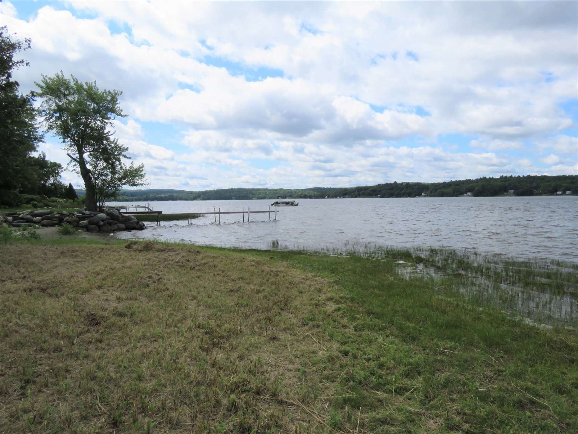 A large body of water with a tree in the foreground