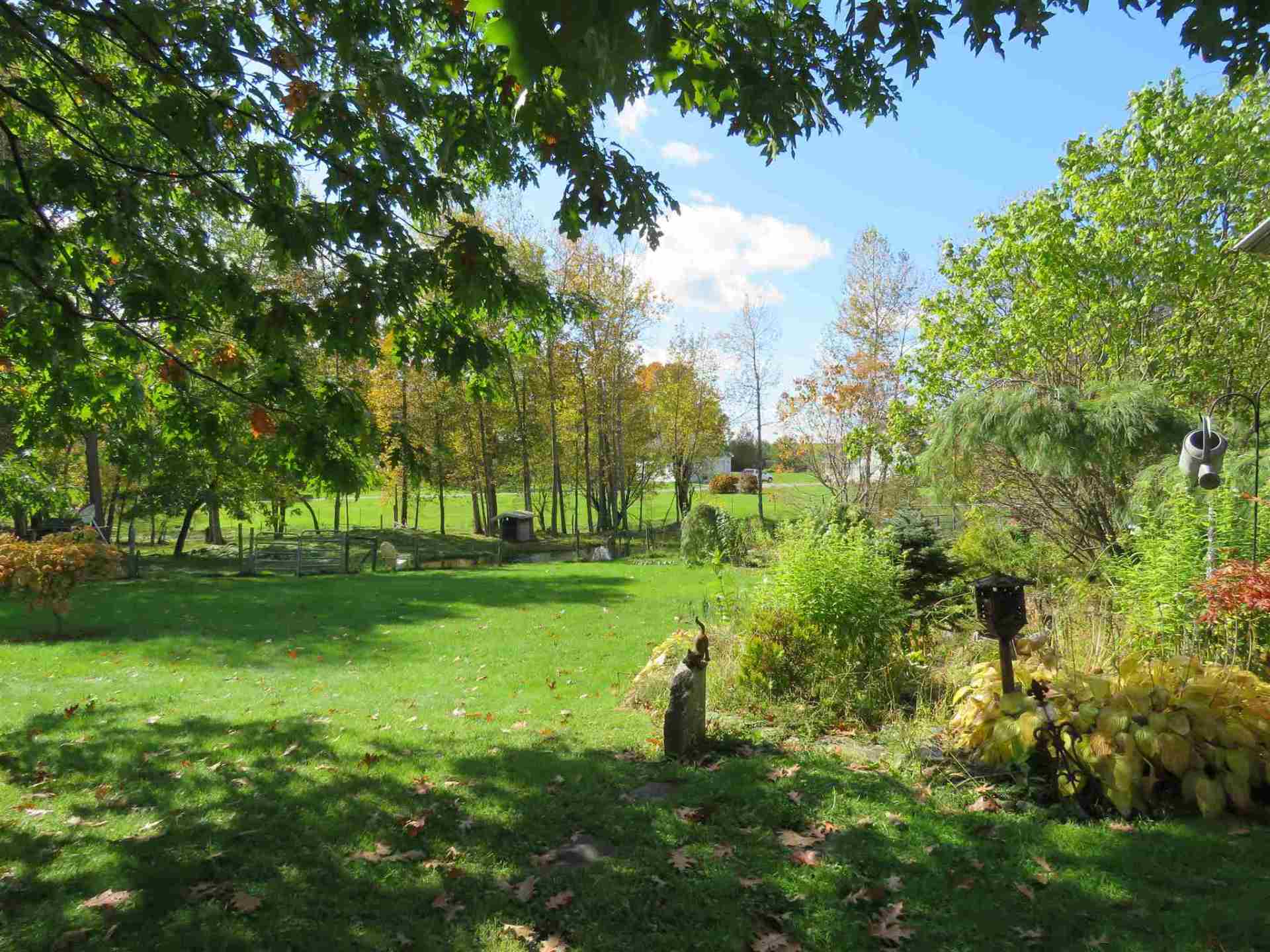 Lush green lawn with trees, some turning yellow. Bright sunny day, blue sky.