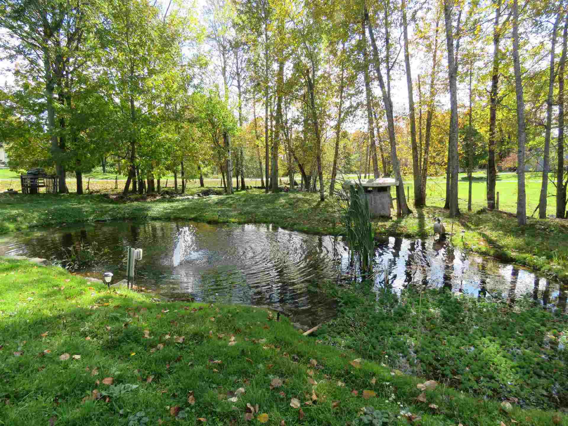 Pond surrounded by green grass, trees with fall foliage, and a small wooden structure; sunny day.