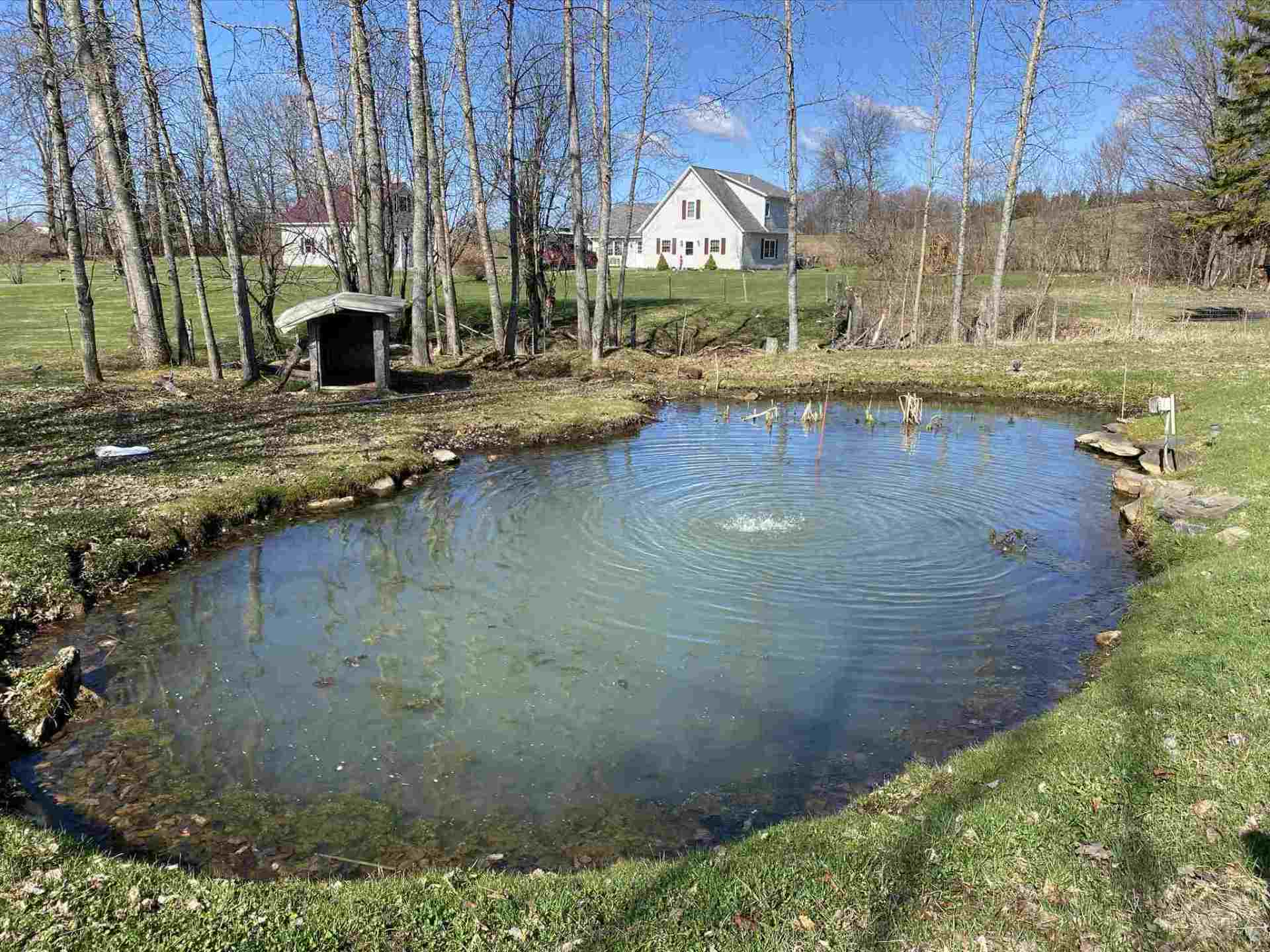 Pond with ducks surrounded by grass and trees, a small shelter, and a house in the background.