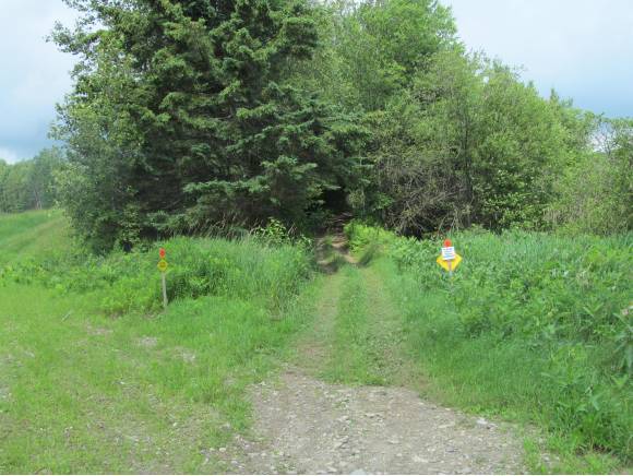 Dirt path leading into dense green trees and grass with small trail markers on either side