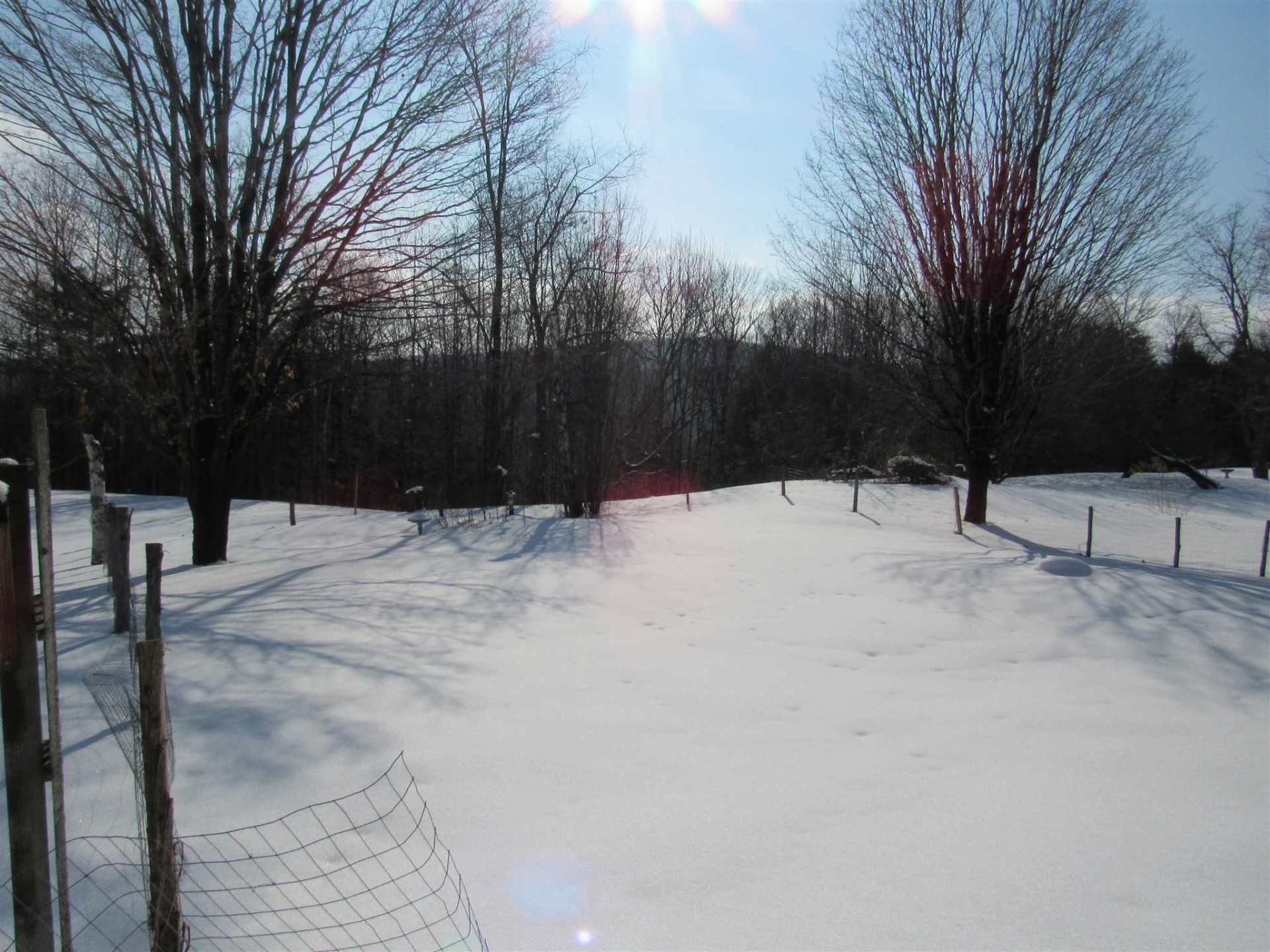 A snowy field with trees and a barbed wire fence