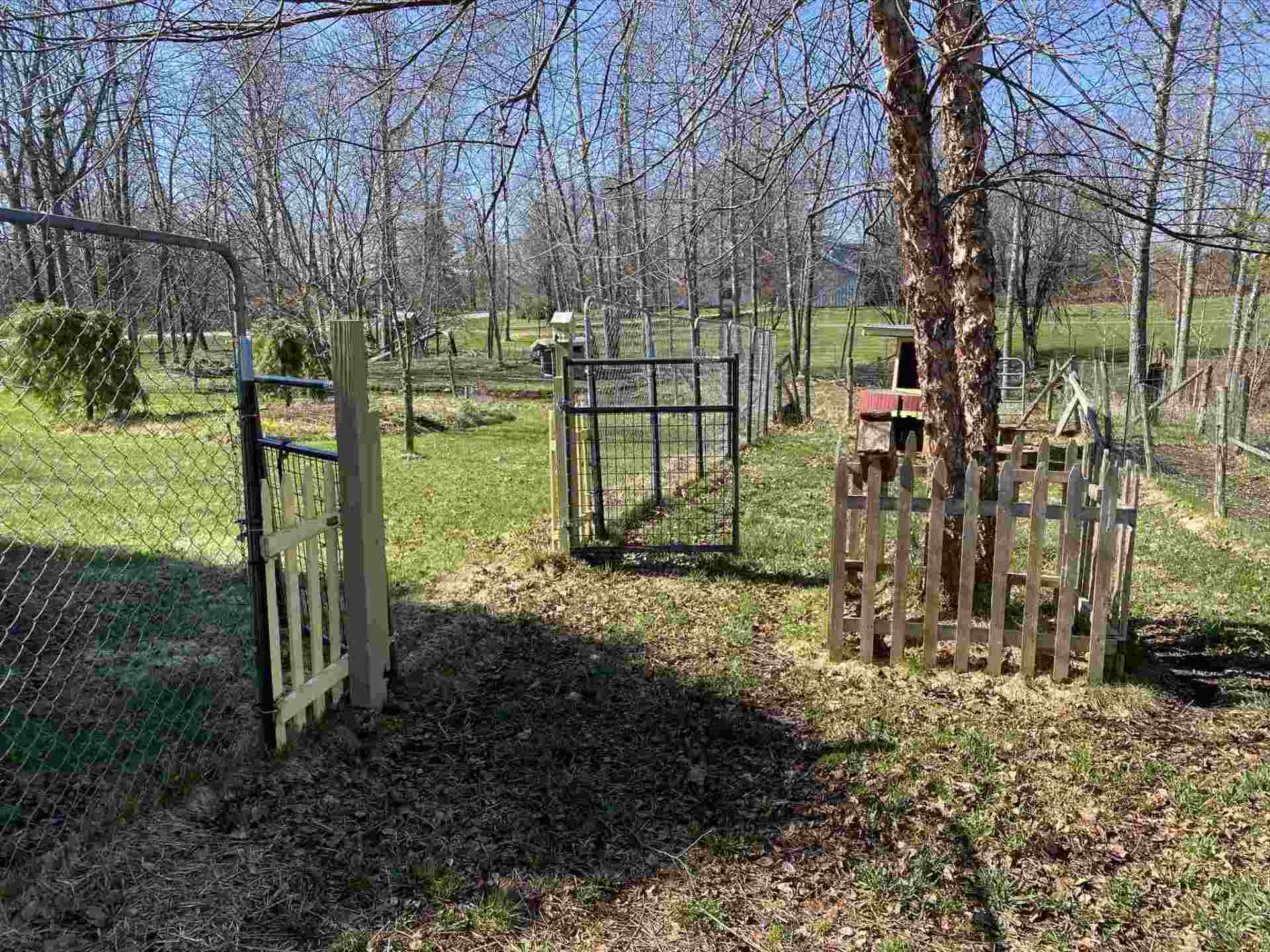 Grassy yard with several small fenced areas. Trees and a chain-link fence are in the background.