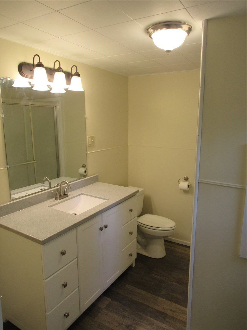 Bathroom with white vanity, toilet, and shower. Tan walls, dark wood-look floor, and bright overhead lighting.