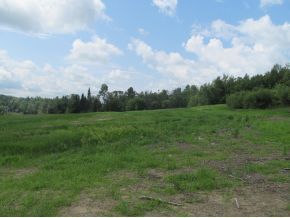 Open feild with some trees, 8 acre lot in Coventry, VT