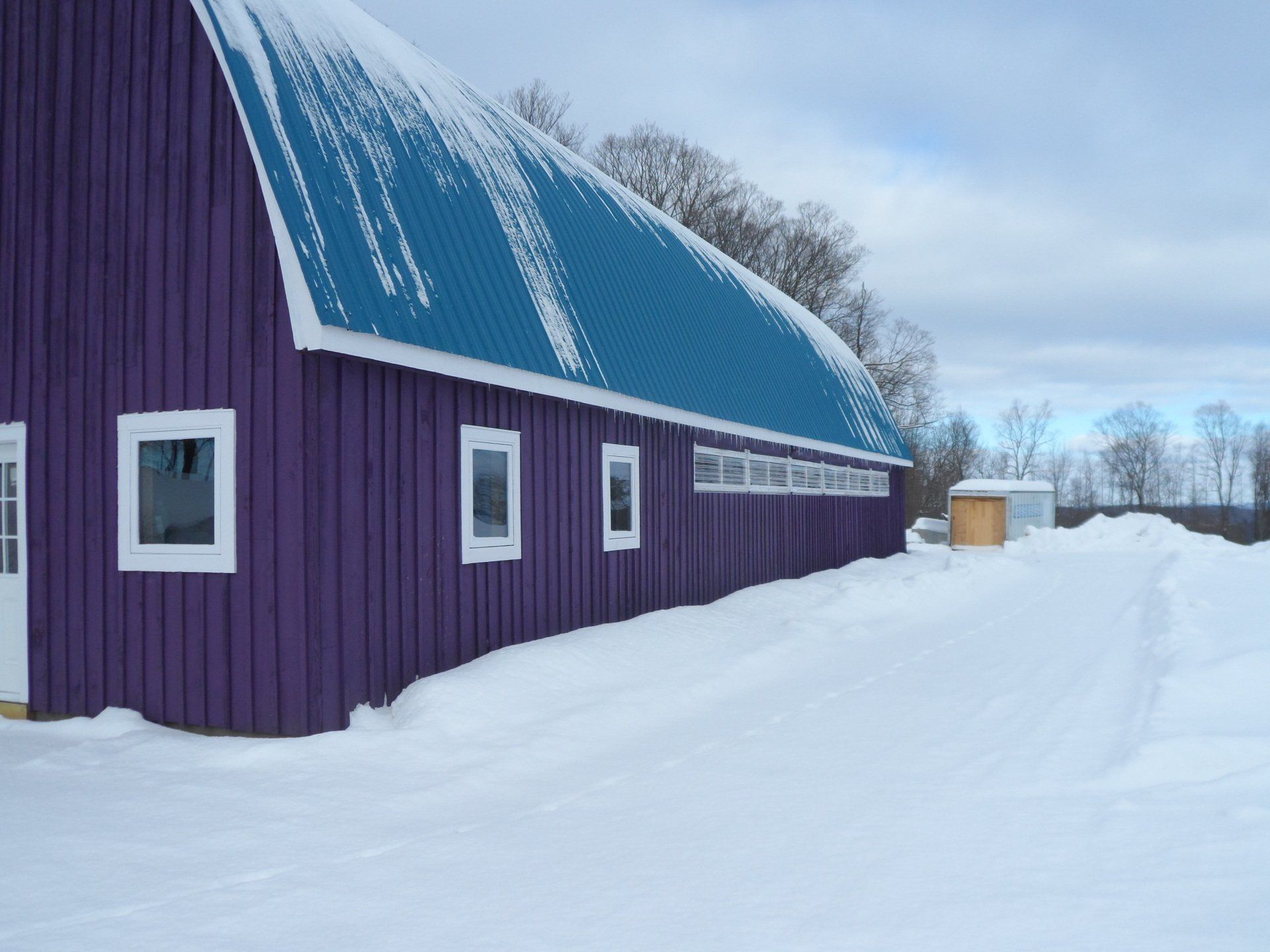 Purple barn with blue roof, white-framed windows, and snow-covered ground.