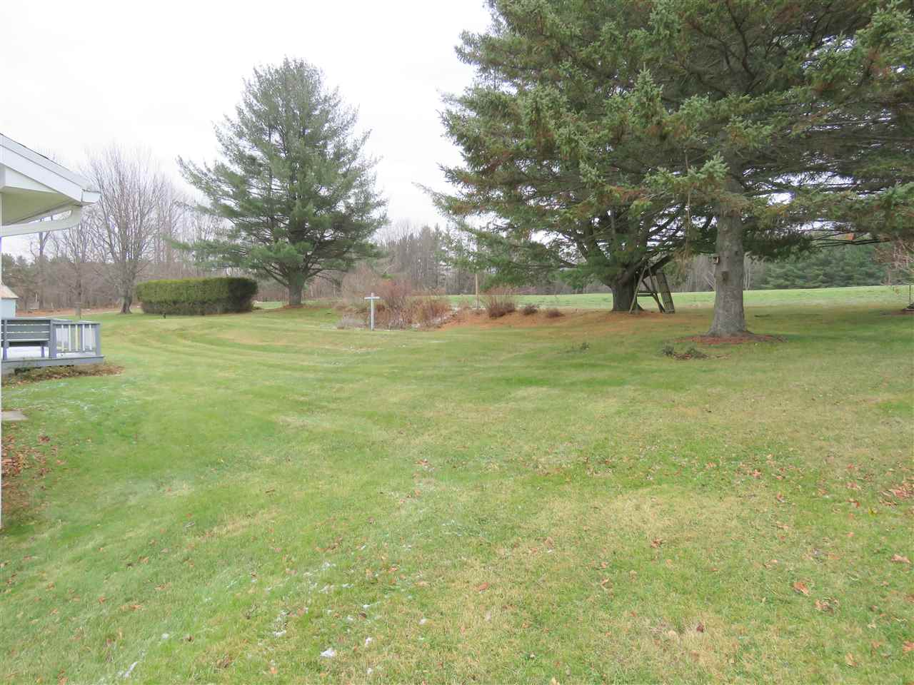 Green lawn with two tall pine trees, a low hedge, and a small flower bed. Overcast sky.