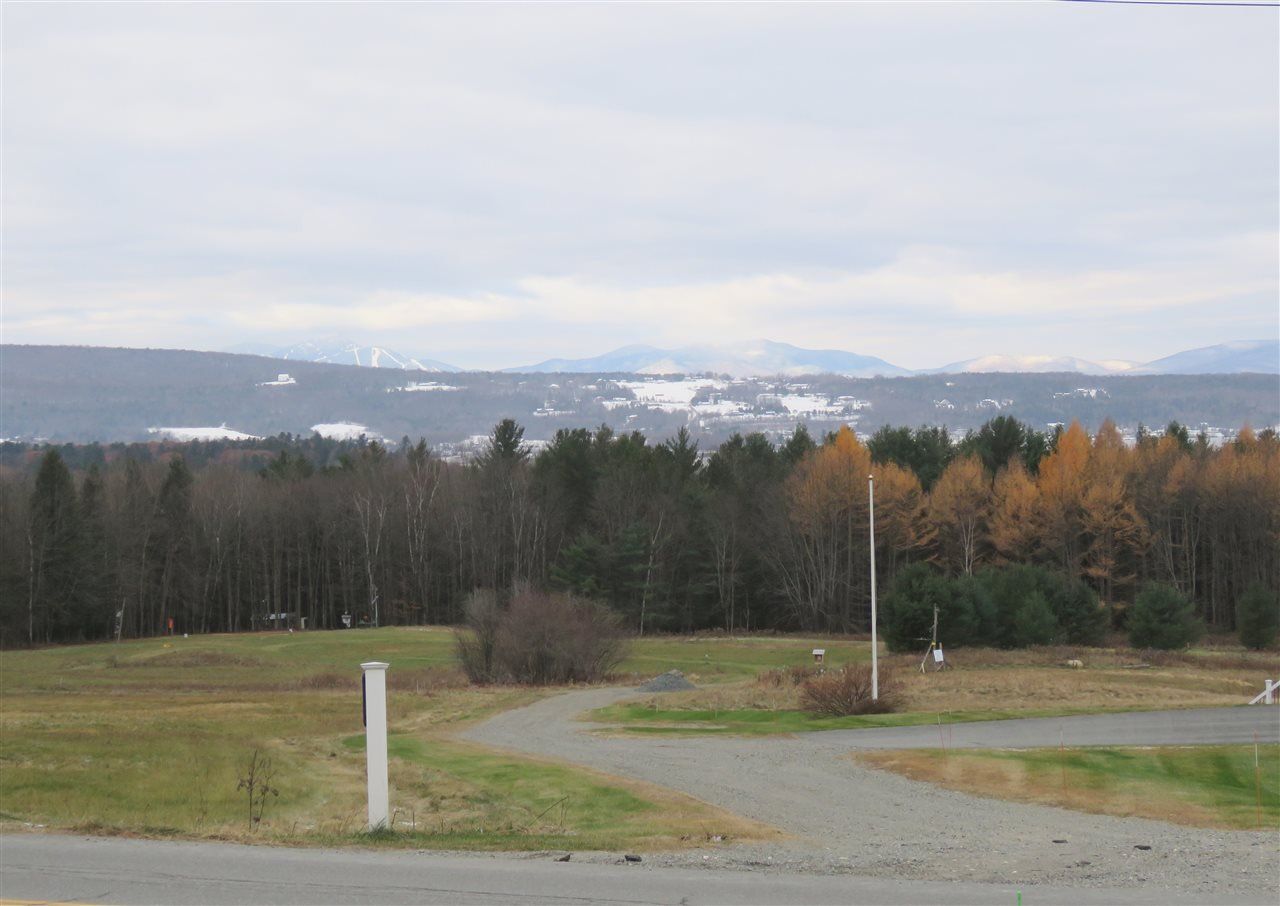 Overcast landscape with a field, trees, and distant snow-covered mountains under a cloudy sky.