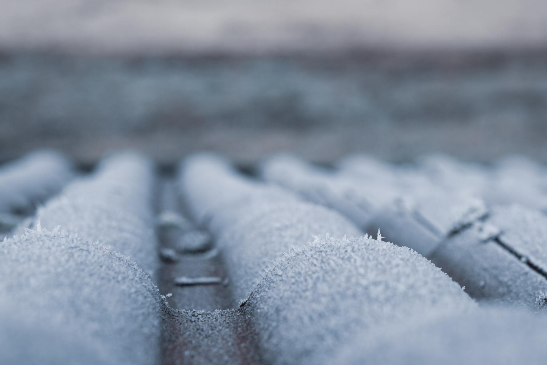 macro shot of snow on a roof