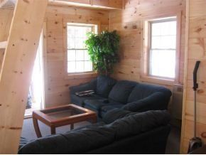 A cozy living room with light wood walls, a dark sofa, a wooden coffee table, a potted plant, and two windows.